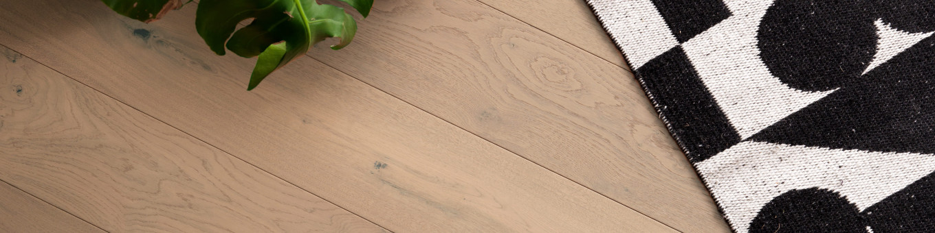 Wooden flooring with rug and plant