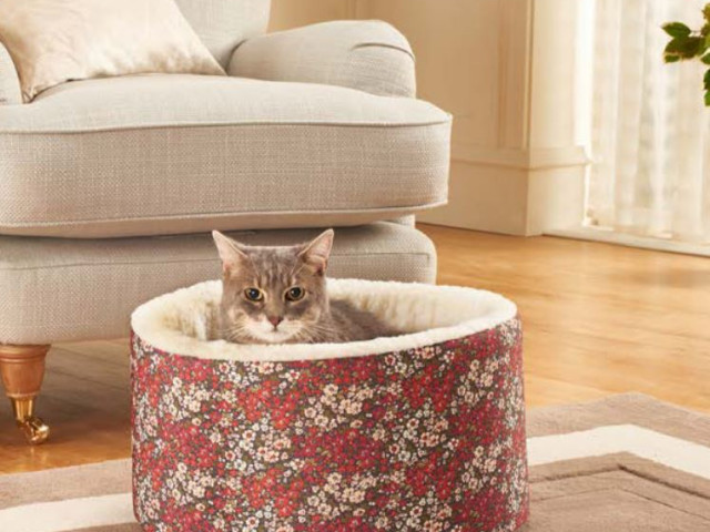 Showcasing New AIS Suppliers At Our INDX Trade Shows